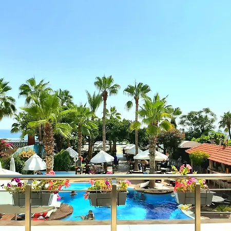 سافك ألانيا